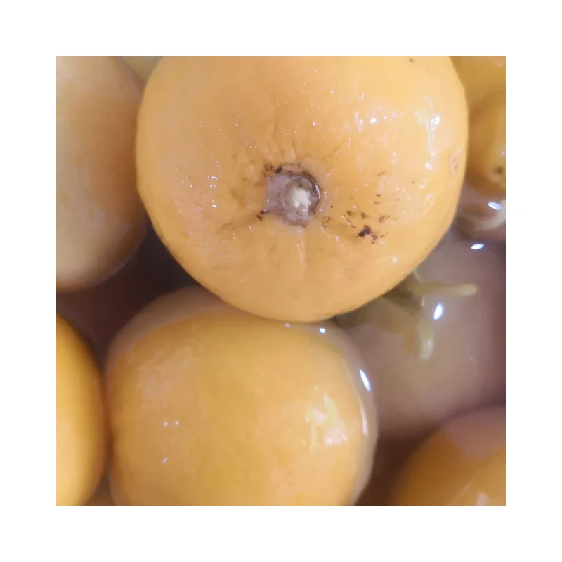 Citron Confit