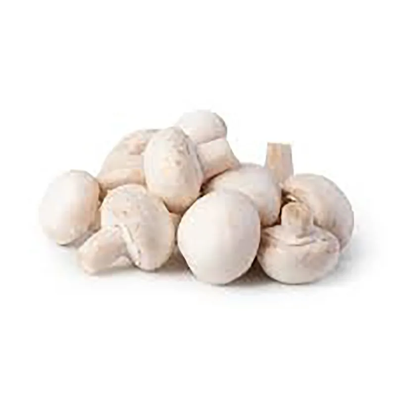 Champignon