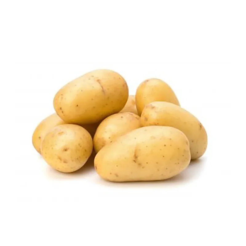 Pomme de terre blanc