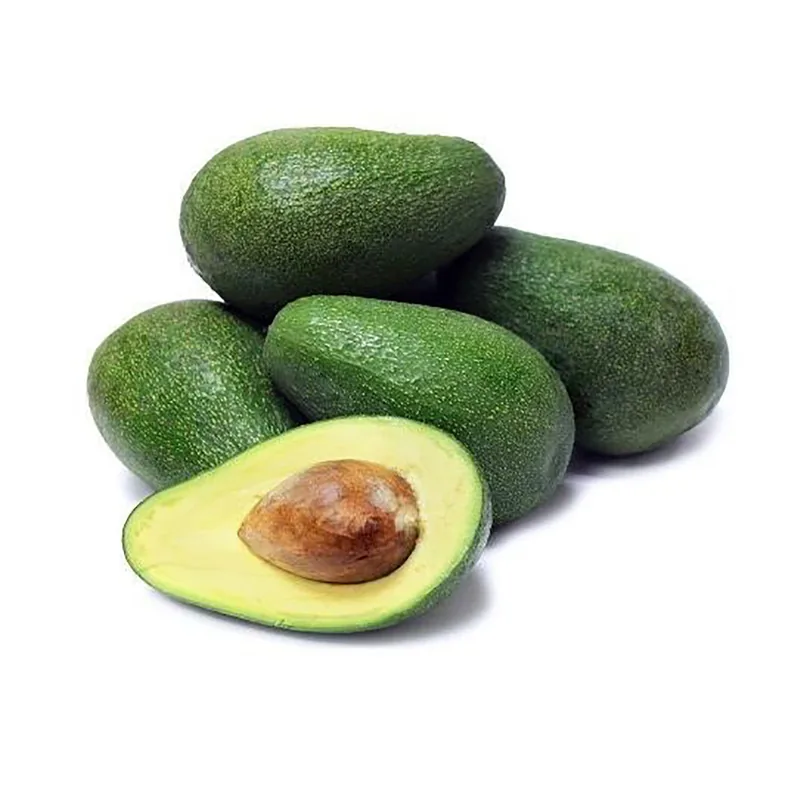Avocat