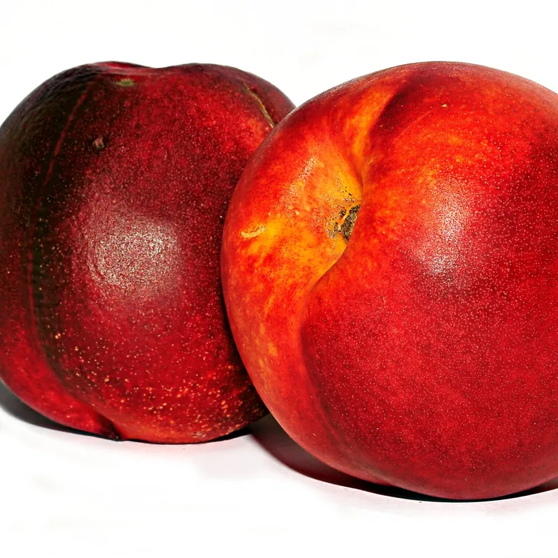 Nectarine
